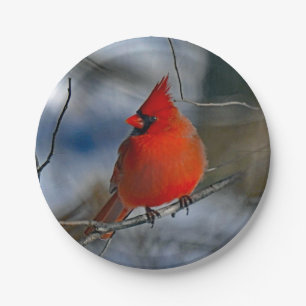 Kardinal Red Winter Foto Pappteller