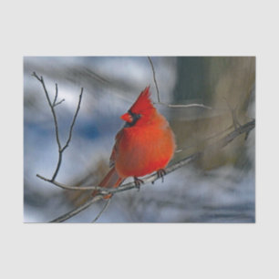 Kardinal Red Winter Foto Seidenpapier