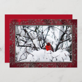 Kardinal Redbird Snow Foto Weihnachten Einladung