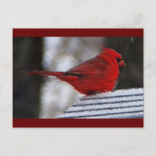 Kardinal Richelieu Postkarte