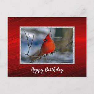 Kardinal Rot Winter Foto Geburtstag Postkarte