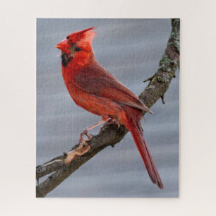 Kardinal - Roter Vogel - 16x20 - 520 Stk. Puzzle
