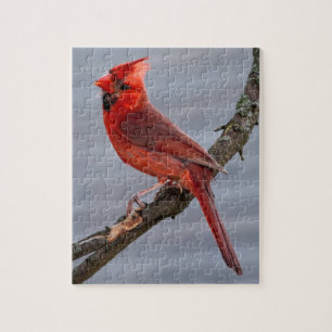 Kardinal - Roter Vogel - 8x10 - 110 Stk. Puzzle