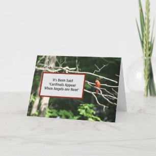 Kardinal sind in der Nähe von Engeln erscheinen -  Karte