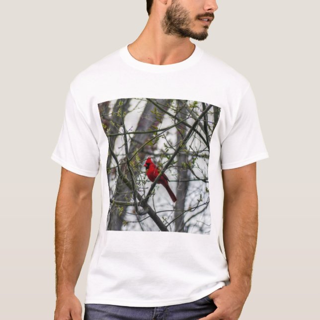 Kardinal T-Shirt (Vorderseite)