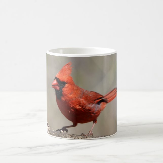Kardinal Tasse (Mittel)