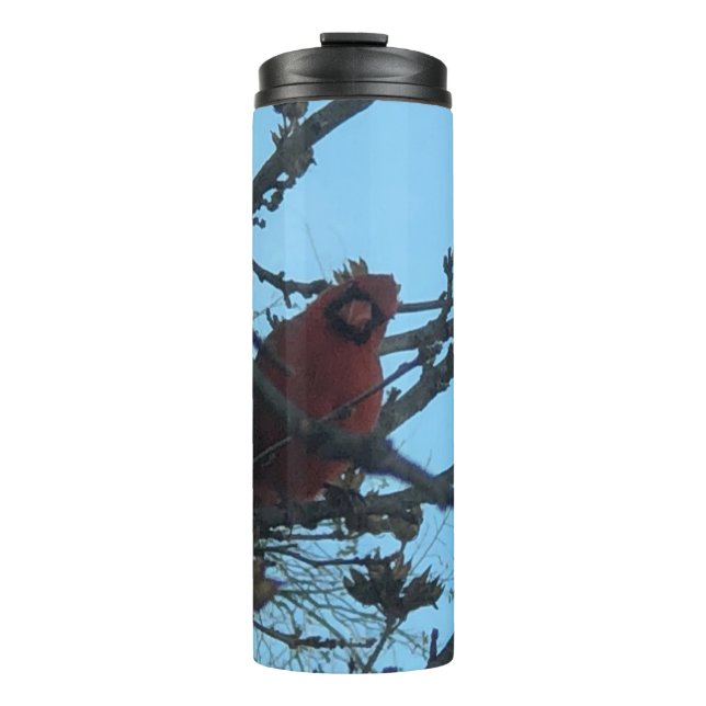 Kardinal Thermosbecher (Vorderseite)