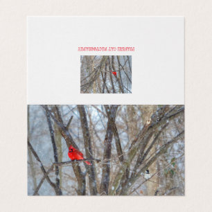 Kardinal und Chickadekarte