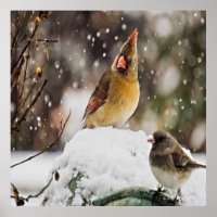 Kardinal und Funken im Schnee