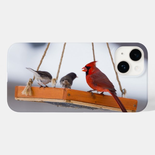 Kardinal und Juncos iPhone Case (Rückseite (Horizontal))