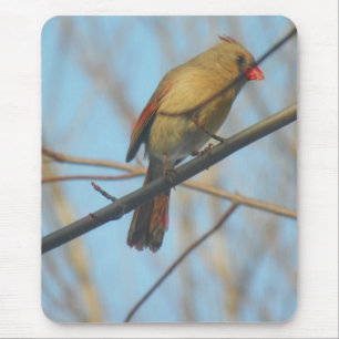 Kardinal/Vogel Mousepad