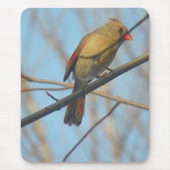 Kardinal/Vogel Mousepad (Vorne)