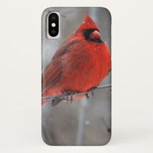 Kardinal von Chunky Bright Red Männchen im Winters Case-Mate iPhone Hülle