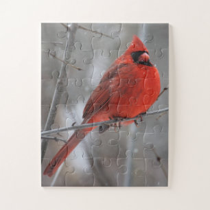 Kardinal von Chunky Bright Red Männchen im Winters Puzzle