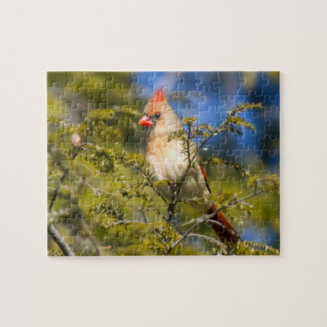 Kardinal von Frauen in Evergreen Puzzle (Horizontal)