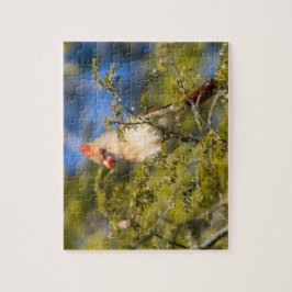 Kardinal von Frauen in Evergreen Puzzle