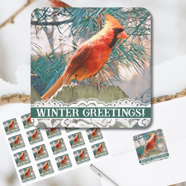 Kardinal vor dem Pine Tree Winter Siegel Quadratischer Aufkleber (A northern cardinal sits before a pine on this winter-themed envelope seal for holiday greetings.)