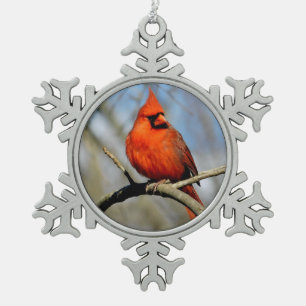 Kardinal Wappen Snowflake Ornament