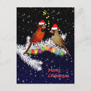 Kardinal Weihnachts Postkarte