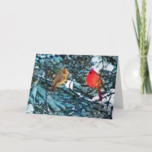 Kardinal Winter Liebe, Karten