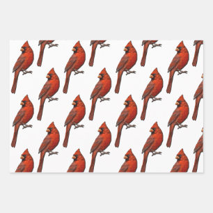 Kardinal Wrapping Paper Flat Sheet Set 3 Geschenkpapier Set