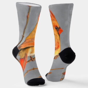 Kardinal zur Zweigmalerei - Originale Vogelkunst Socken