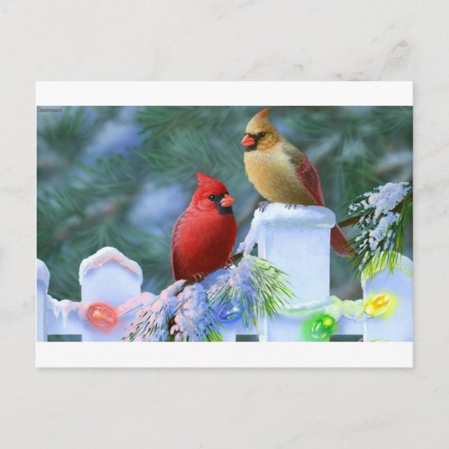 Kardinäle und Weihnachtsbeleuchtung Feiertagspostkarte (Vorderseite)