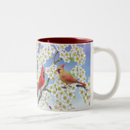 Kardinäle, wenn Apfelbaum-Tasse geblüht wird Zweifarbige Tasse
