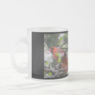 Kardinalisches Singvogelpaar Mattglastasse