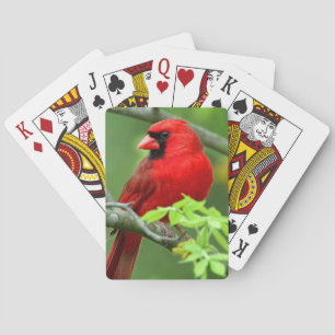 Kardinalkardinale Spielkarten