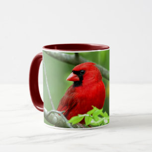 Kardinalkardinale Tasse