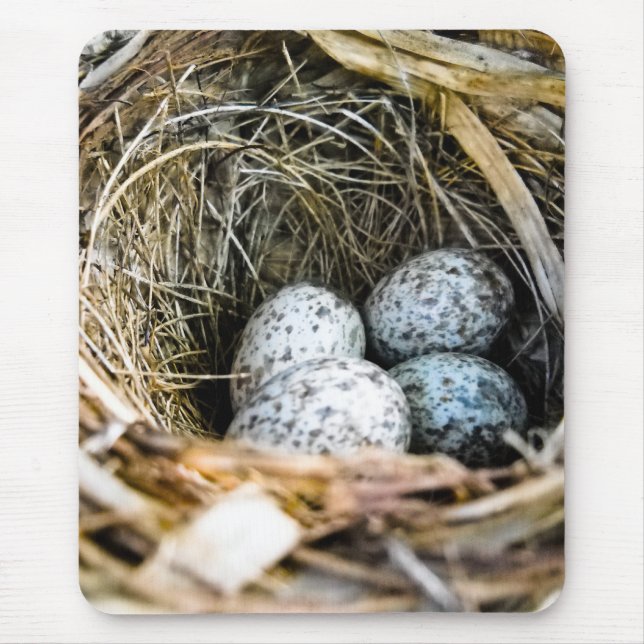 Kardinals-Ei Mousepad (Vorne)