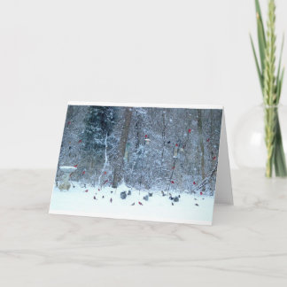 Kardinals in der Schnee-Gruß-Karte Karte