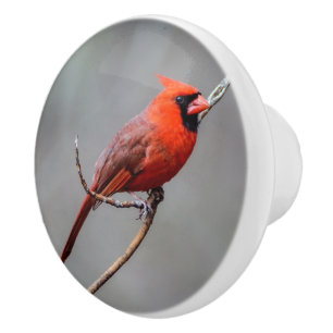 Kardinals-Keramik-Griff Keramikknauf