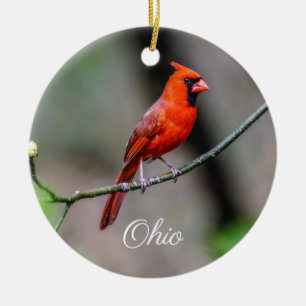 Kardinals-Ohio-Verzierung Keramik Ornament