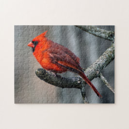 Kardinals-Puzzlespiel Puzzle