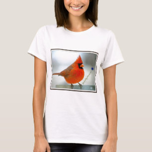 Kardinals-Rot-Vogel T-Shirt