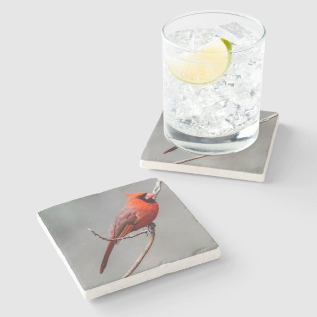 Kardinals-SteinUntersetzer Steinuntersetzer (Seitenansicht)