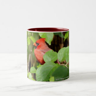 Kardinals-Tasse Zweifarbige Tasse