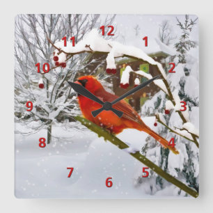 Kardinals-Vogel, Schnee, Winter Quadratische Wanduhr