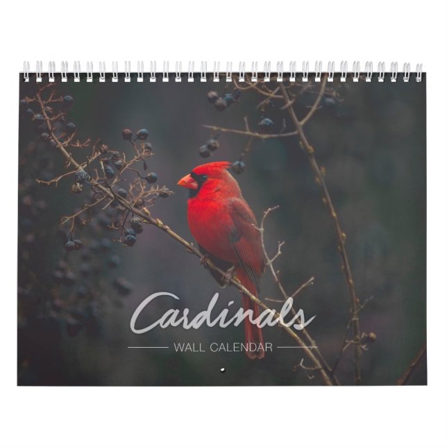 Kardinals-Wandkalender Kalender (Titelbild)
