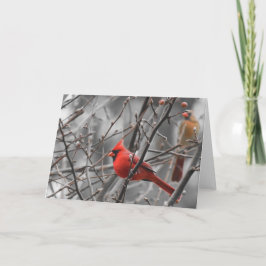 Kardinalsvogel, Karte