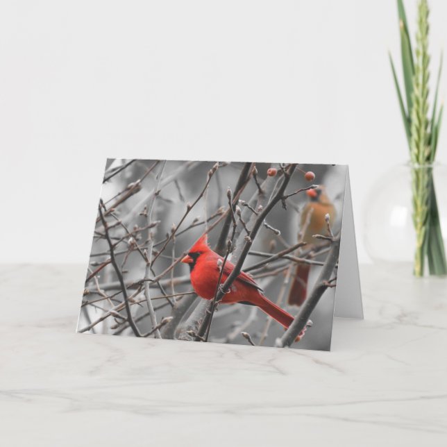 Kardinalsvogel, Karte (Vorderseite)