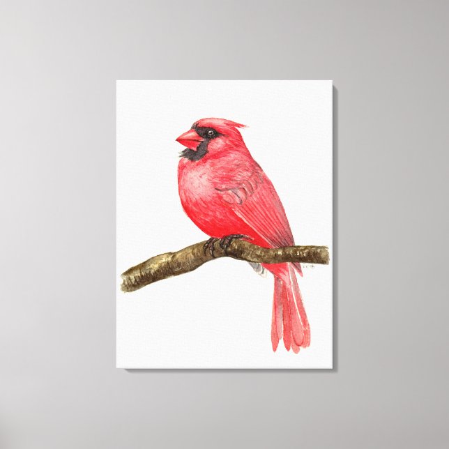 Kardinalvogel Aquarell Leinwanddruck (Vorderseite)