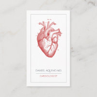 Kardiologe Doktor Anatomische Herzerkrankung