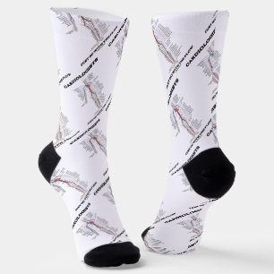 Kardiologen gehen einfach mit dem Flusskreislauf Socken