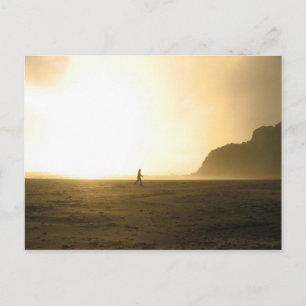 Karekare Beach - Auckland, Neuseeland Postkarte