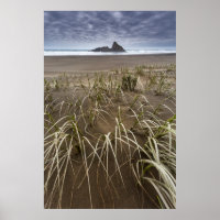 Karekare Beach | Insel Panatahi, Westküste