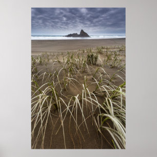 Karekare Beach   Insel Panatahi, Westküste Poster