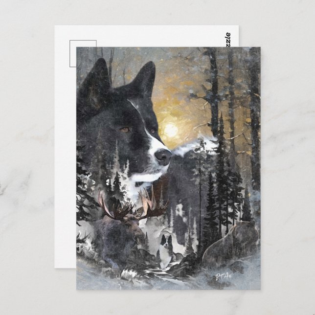 Karelian Bear Dog Postkarte (Vorne/Hinten)